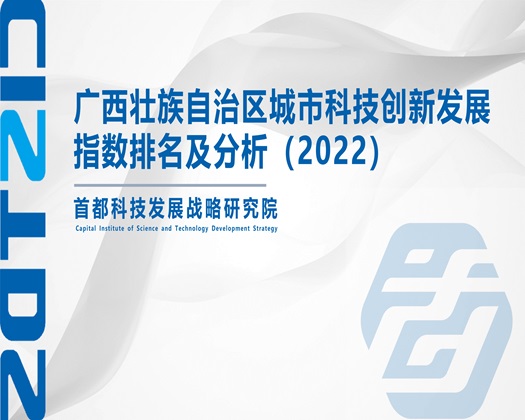 男女艹逼视频网站【成果发布】广西壮族自治区城市科技创新发展指数排名及分析（2022）